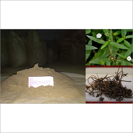 Bhringraj Powder