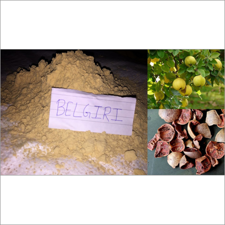 Belgiri Powder