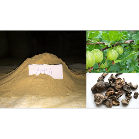 Amla Powder