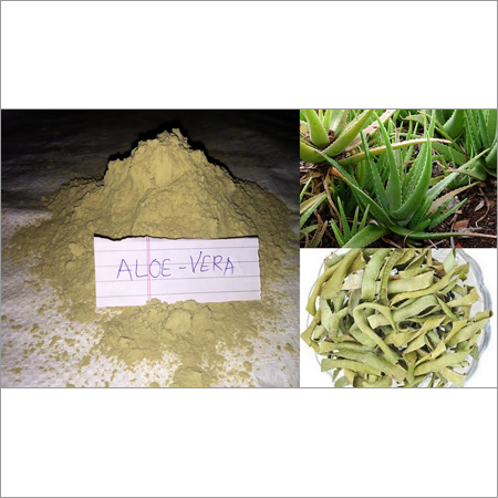 Aloe Vera Powder