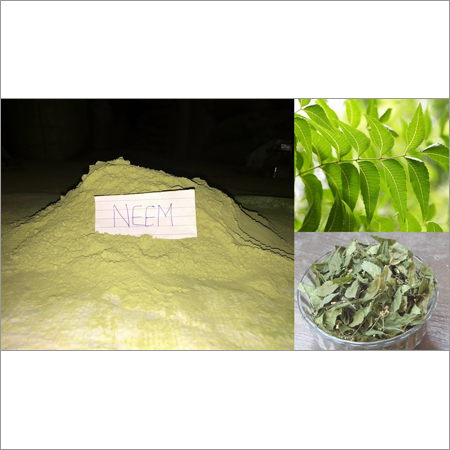 Neem Powder