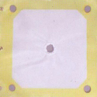 Butterfly with chemical coated