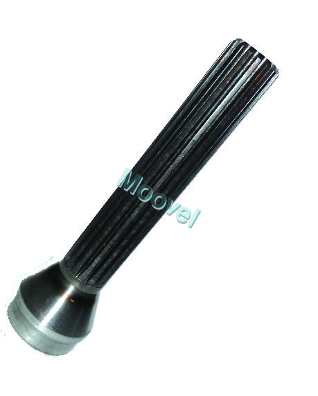 Silver Rear Teeth