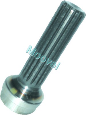 Silver Rear Teeth