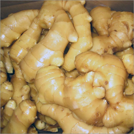 Ginger
