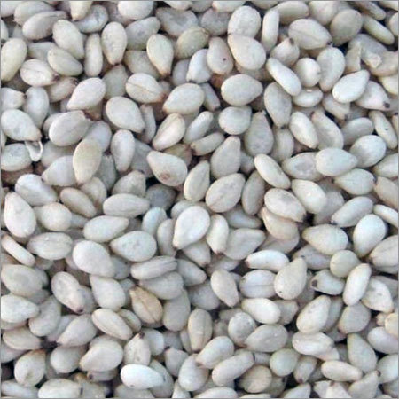 Sesame Seed