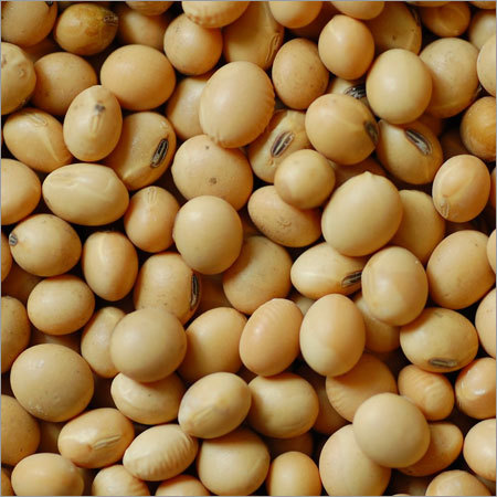 Soyabeans