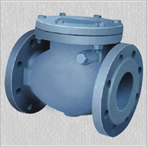 Swing Check Valve