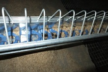 Chain Feeding System Chain Feeding System