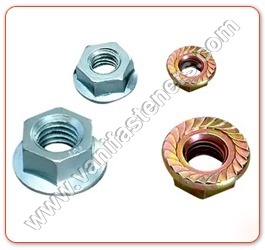 Flange Nuts