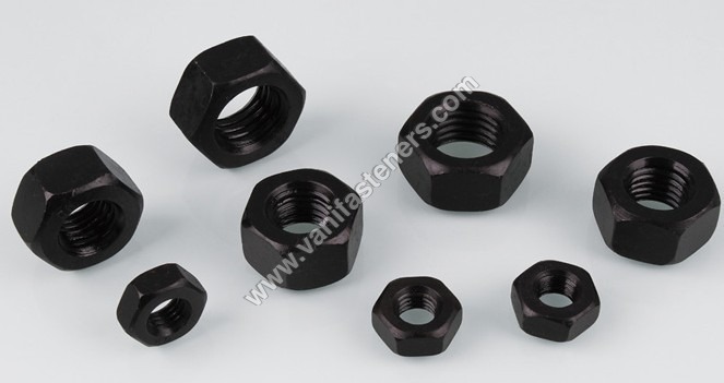 Hex Nuts