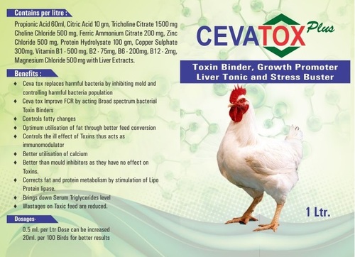Cevatox Liquid - Organic Acid Blend for Gut Health | Enhances Nutrient Absorption Reduces Microorganism Growth Improves Feed Utilization