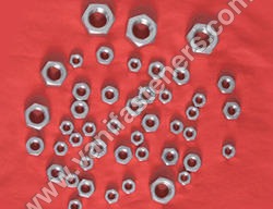 Stainless Steel Hex Nuts
