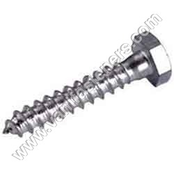 Hex Coach Screw