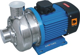 RAW WATER PUMP