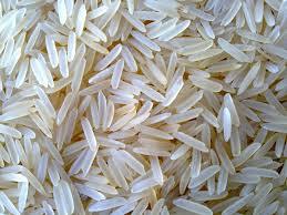 BEST PERFUMED LONG SELLABasmati Rice