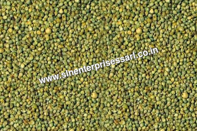 Green Millet