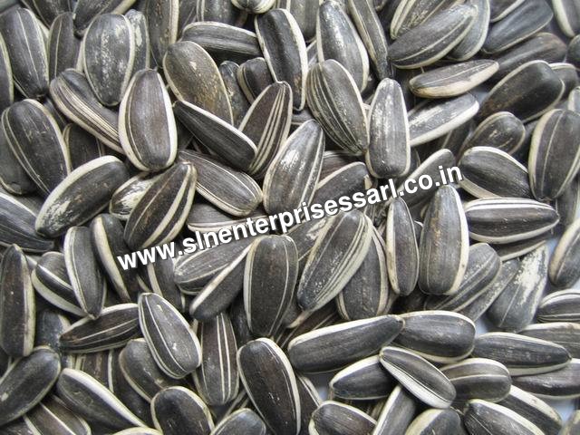 SUNFLOWER SEEDS