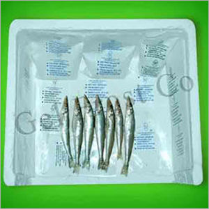 Ice Fishing Packs