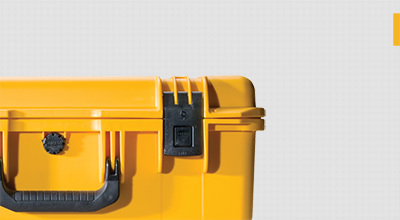 Pelican Protector Case