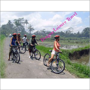 Cycling Tour