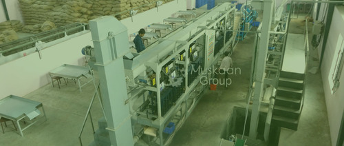 Automatic Cashew Shelling Machine Capacity: 90-95% Kg/Hr