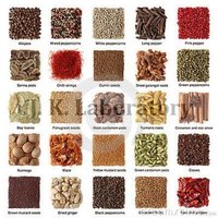 Spice Testing Services