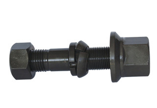 Customized Bolts