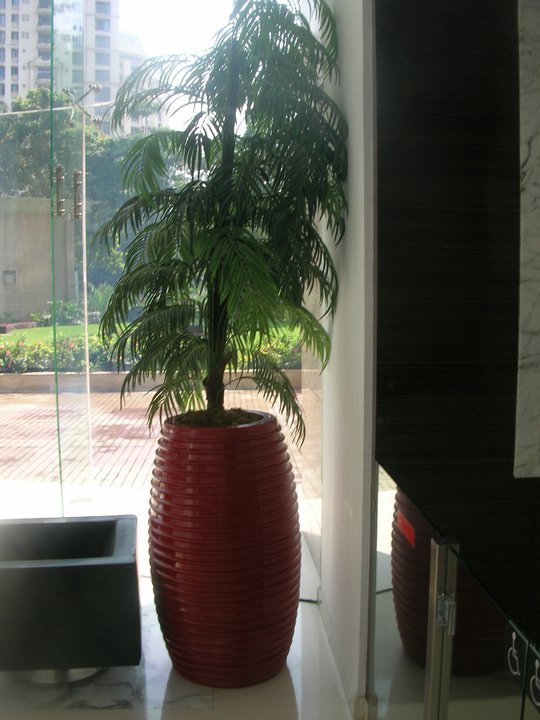 Solid Surface Planters