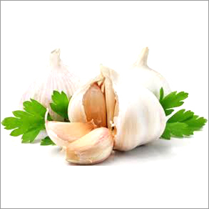 Organic Garlic