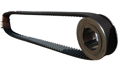 Transmission Belt