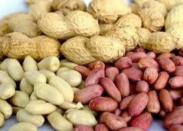 Bold PEANUT (50/60) - Brown/Red Shell, Beige/Pink Kernel, Varied Size, Moisture & Oil Content | High Protein, Good Source of Fat, Versatile Ingredient