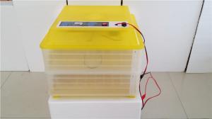 Egg Incubator