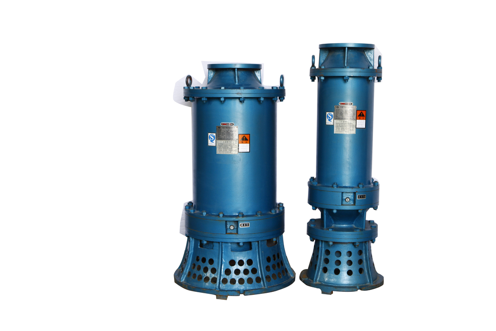 25-63KW Suction Submerged Motor Pump