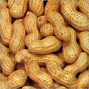 Raw Peanuts - Color: Brown