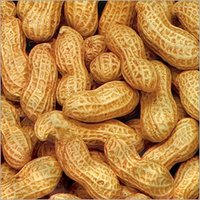Raw Peanuts