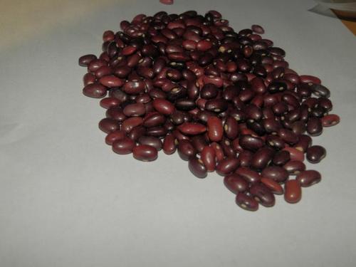 RAJMA JAMMU