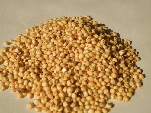 JOWAR WHOLE