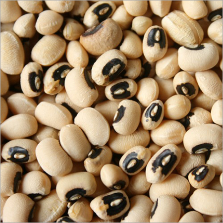 Cowpea Black Eyed Pea