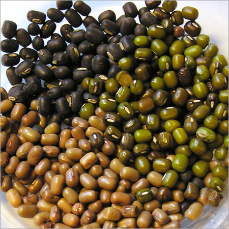 Moong Mothurad