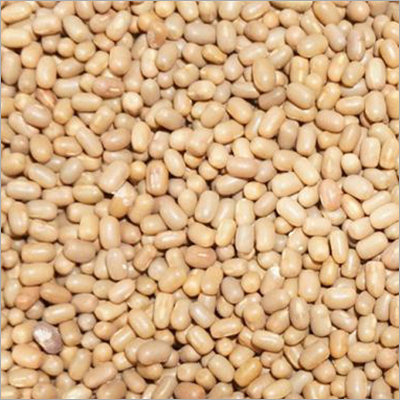 Pulses