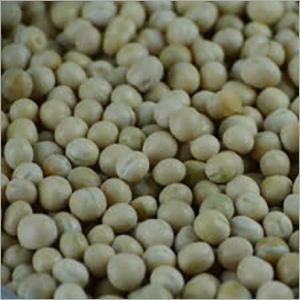 Stock Footage Fresh Peas Grain Food