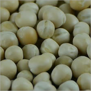 Stock Footage Fresh Peas Grain Food