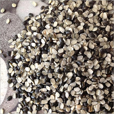 Urad