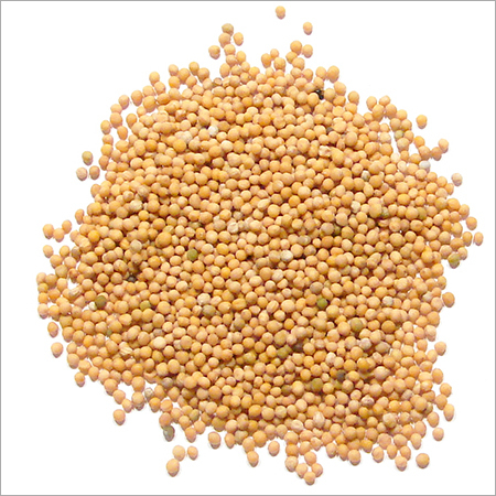 Mustard Seed Yellow