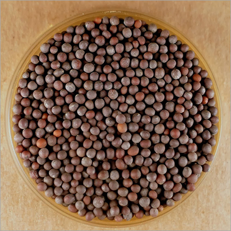 Mustard Seed