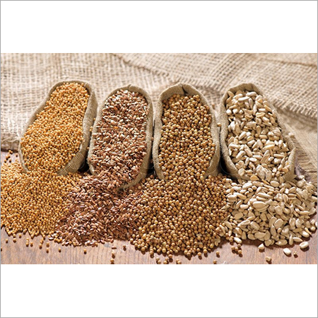 Seeds Of Mustard Flax Coriander And Sunflower