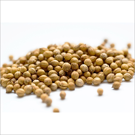 Coriander Seeds