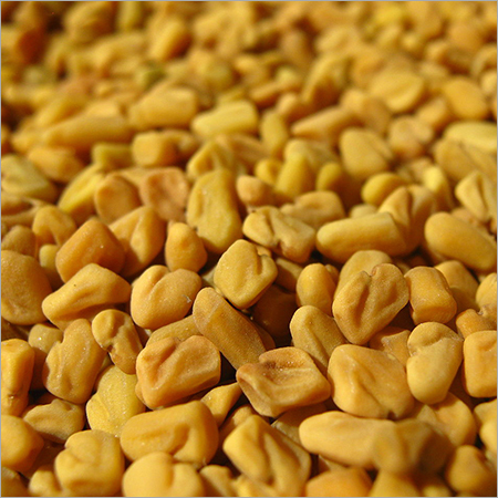 Fenugreek Seeds