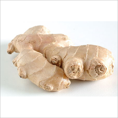 Ginger